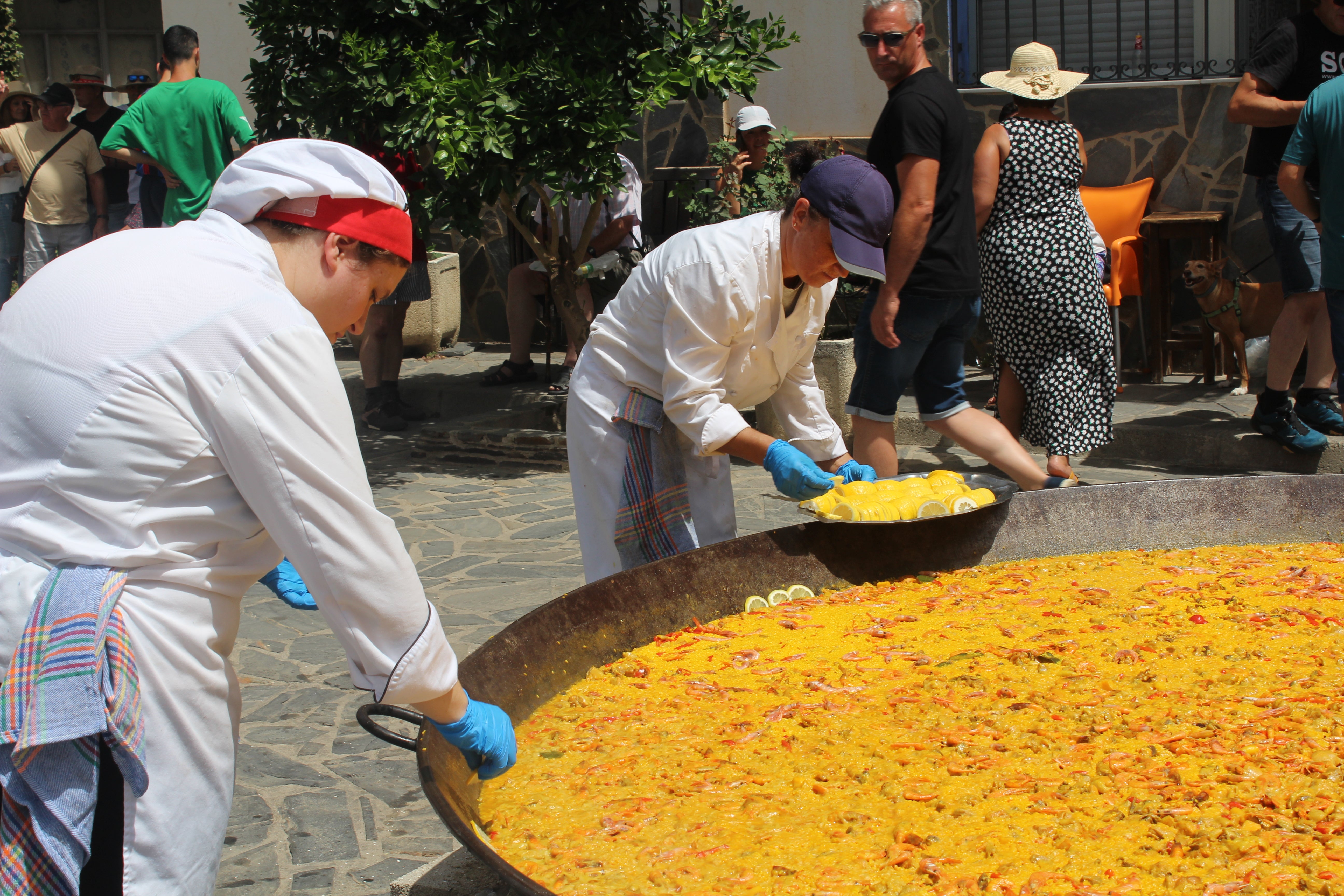 Más de 1.200 personas disfrutan de una gran paella en Velefique