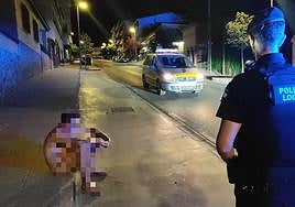 La Policía asiste a un hombre desnudo en Íllora tras sufrir un brote psicótico.