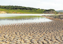 Imagen de archivo del pantano de La Viñuela, afectado por la escasez de lluvias.