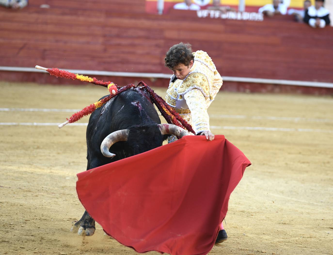 Un sueño hecho realidad