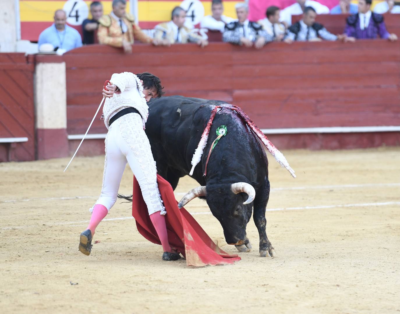 Un sueño hecho realidad