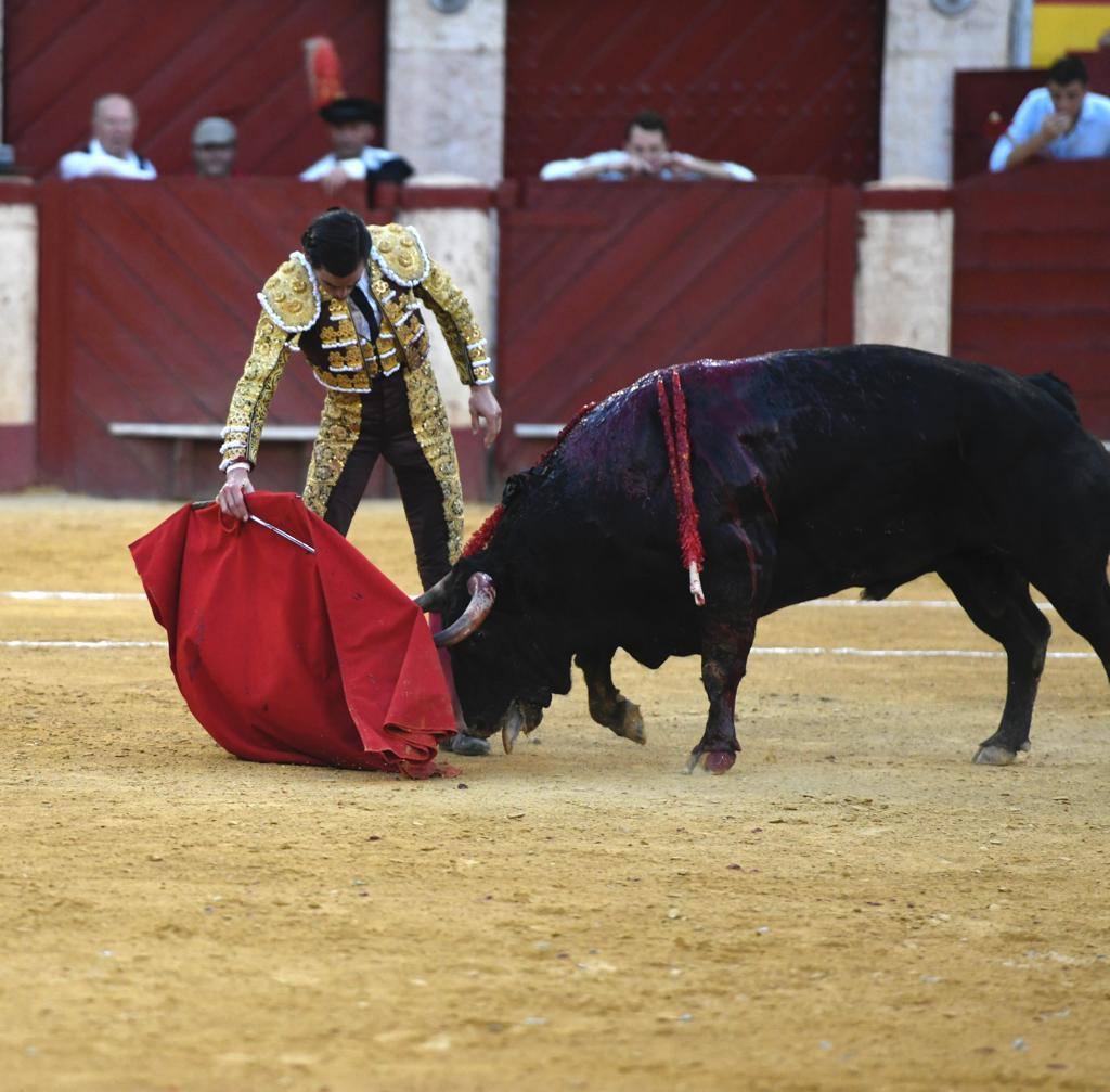 Un sueño hecho realidad