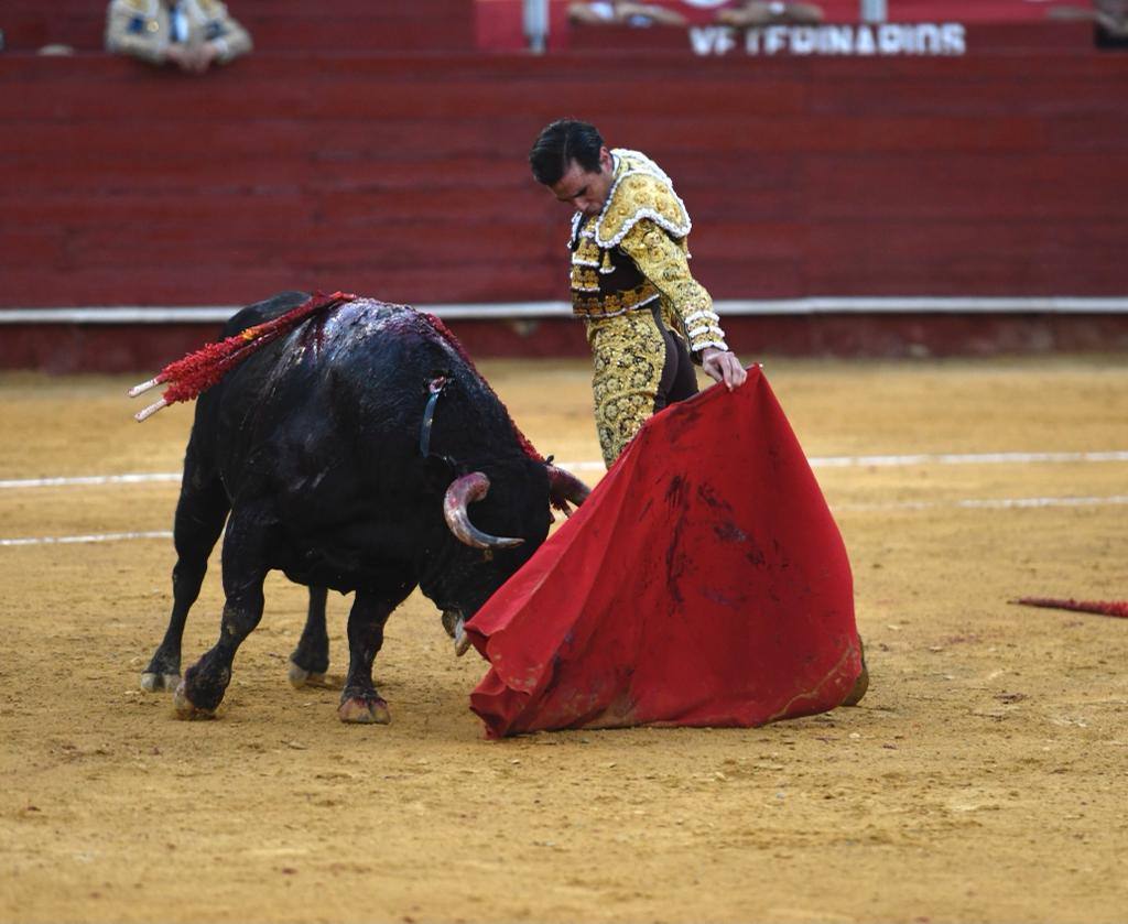 Un sueño hecho realidad