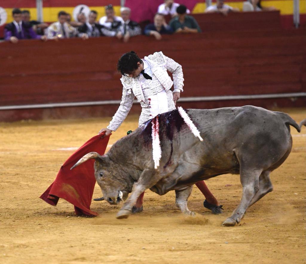 Un sueño hecho realidad