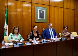 La consejera de Inclusión Social, Loles López, ayer en su intervención en el Parlamento andaluz.