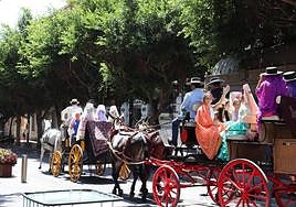Exhibición de caballos y carruajes.