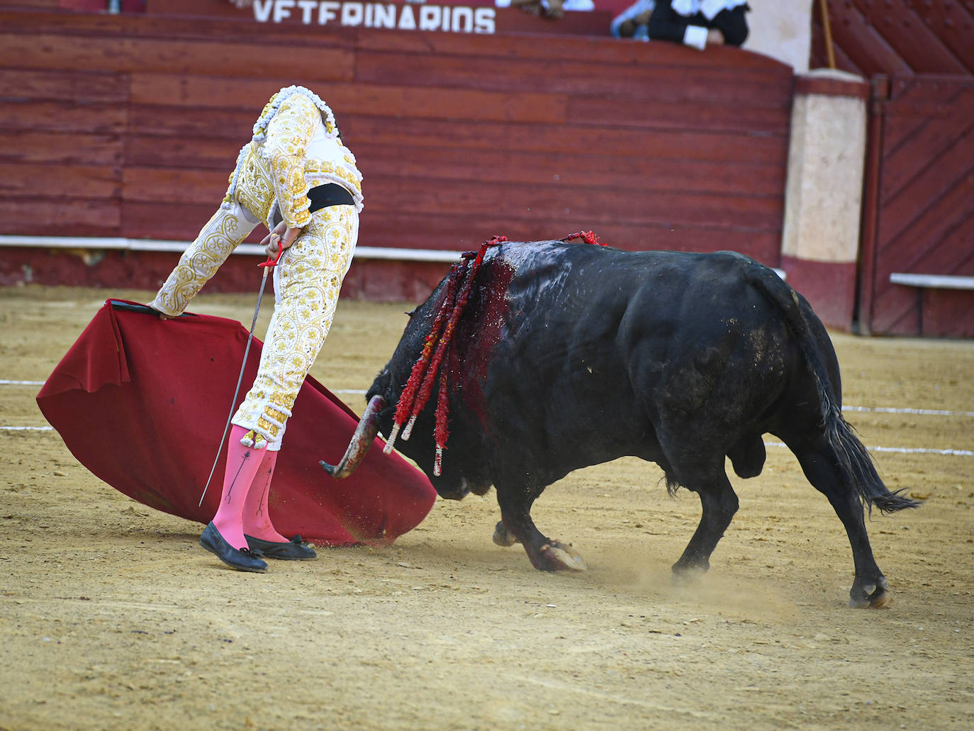 La tarde gloriosa de Jorge Martínez en imágenes