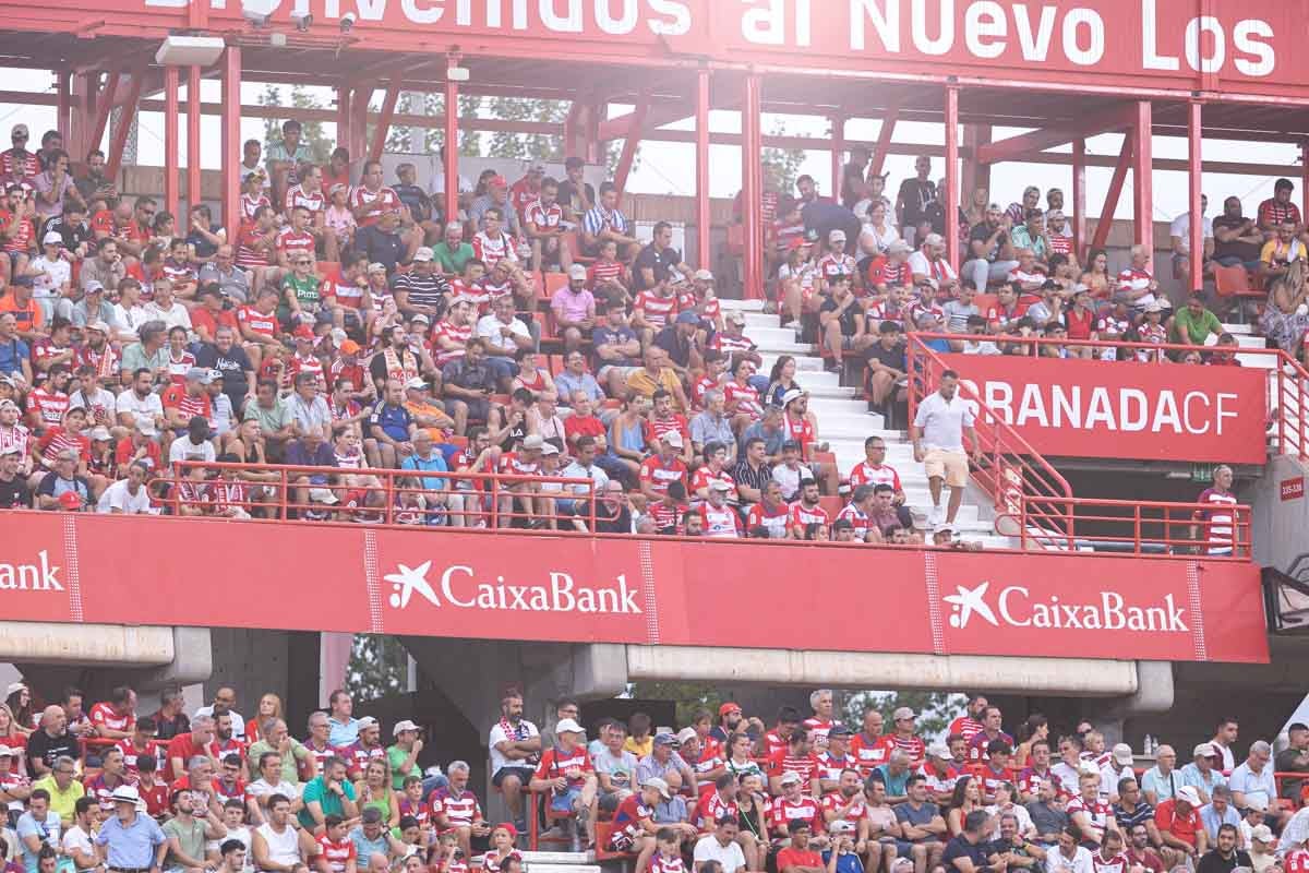Encuéntrate en la grada durante el Granada-Mallorca