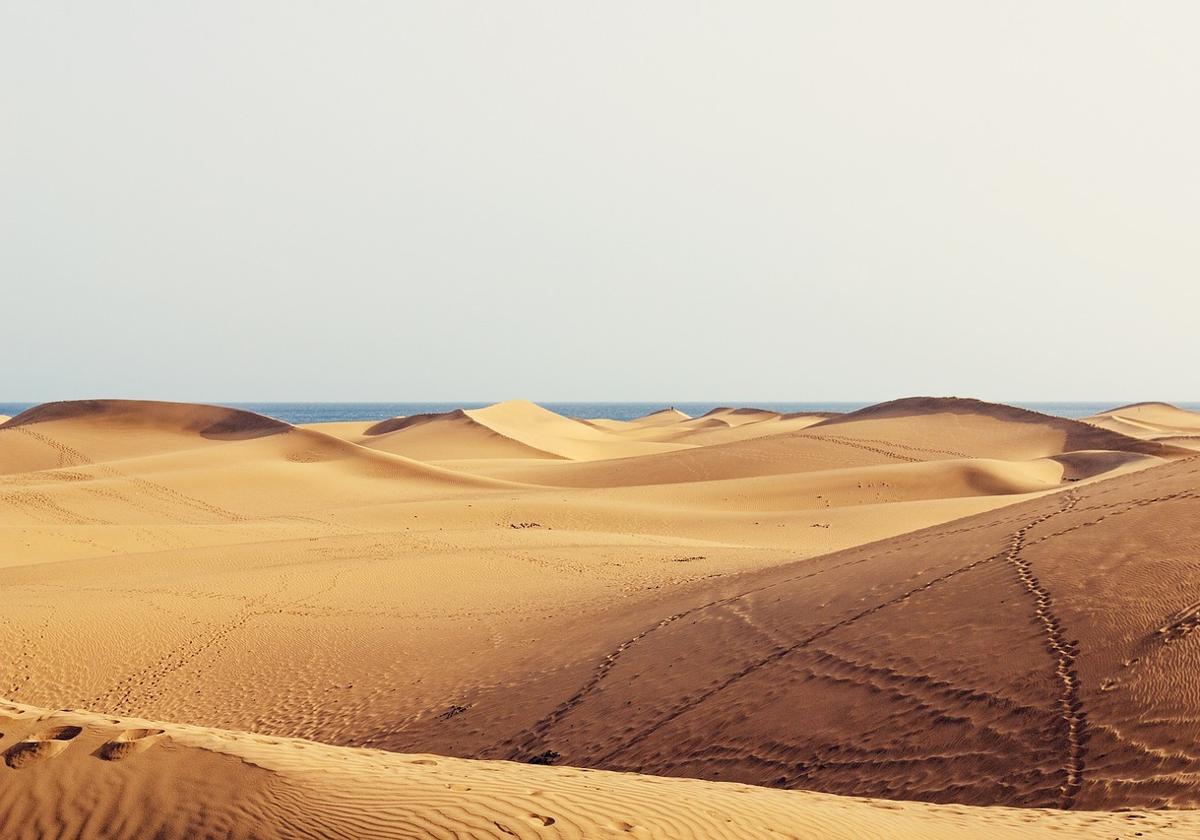 Más allá de sus dunas: qué hacer en Maspalomas, el paraíso natural de Gran Canaria