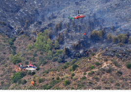 Fuego en Almuñécar.