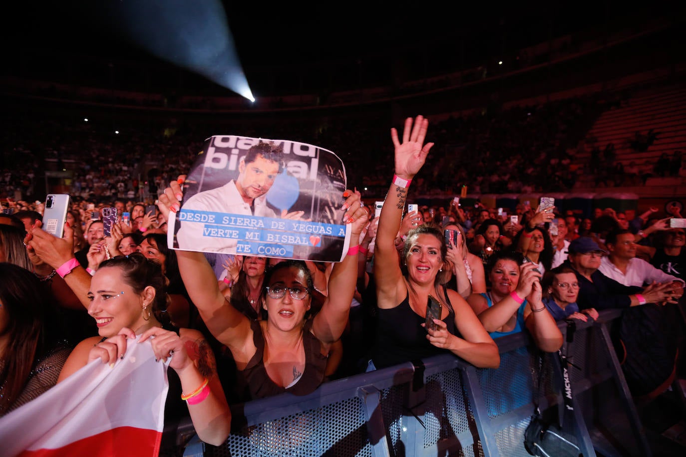 Las imágenes del concierto de Bisbal en Granada