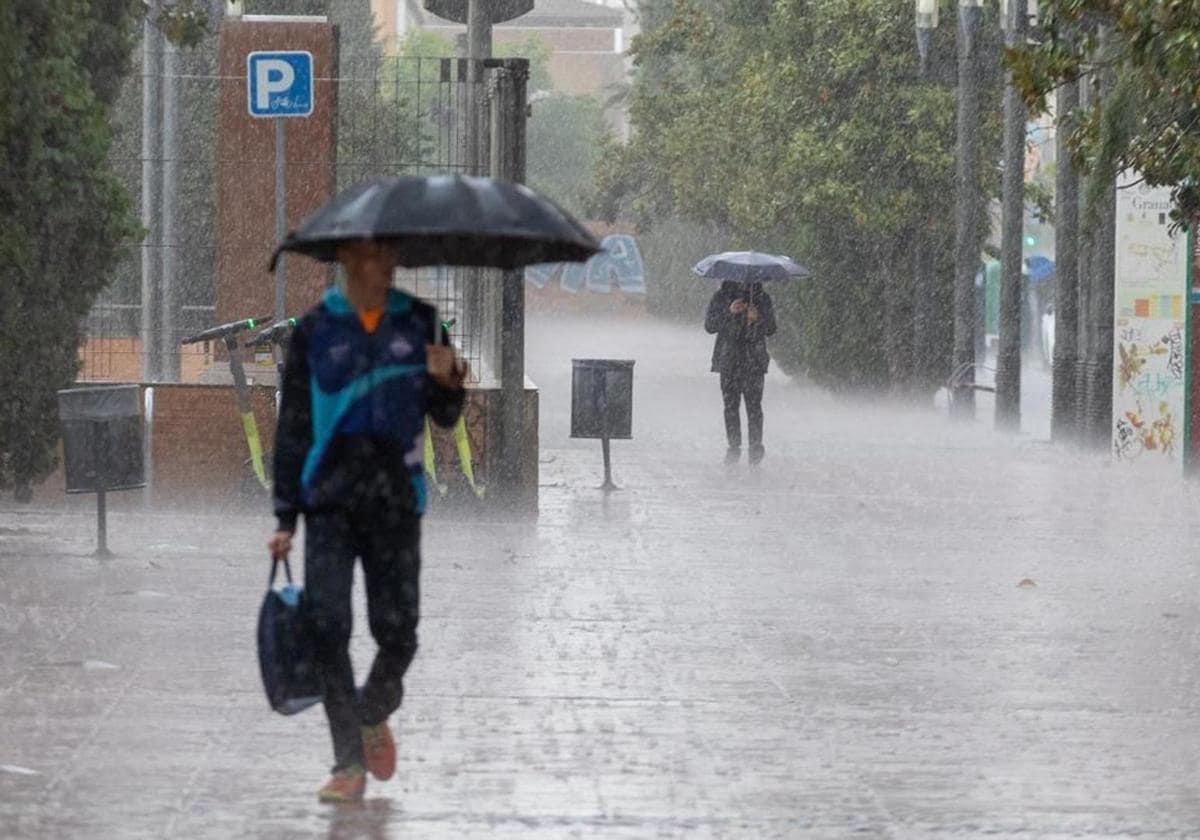 DANA En Andalucía: El Día Más Duro De La DANA Activa Alertas En ...