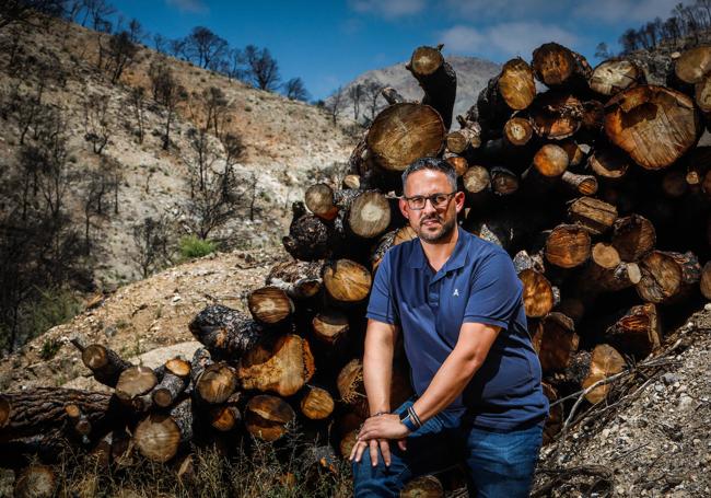 El alcalde de Los Guájares junto a los troncos que se cortaron.