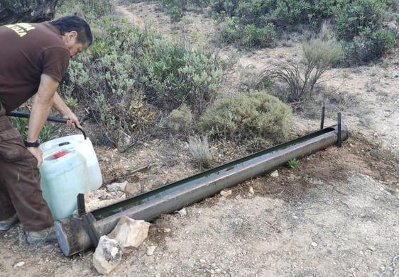 Un voluntario rellena uno de los bebederos para fauna de gran tamaño.