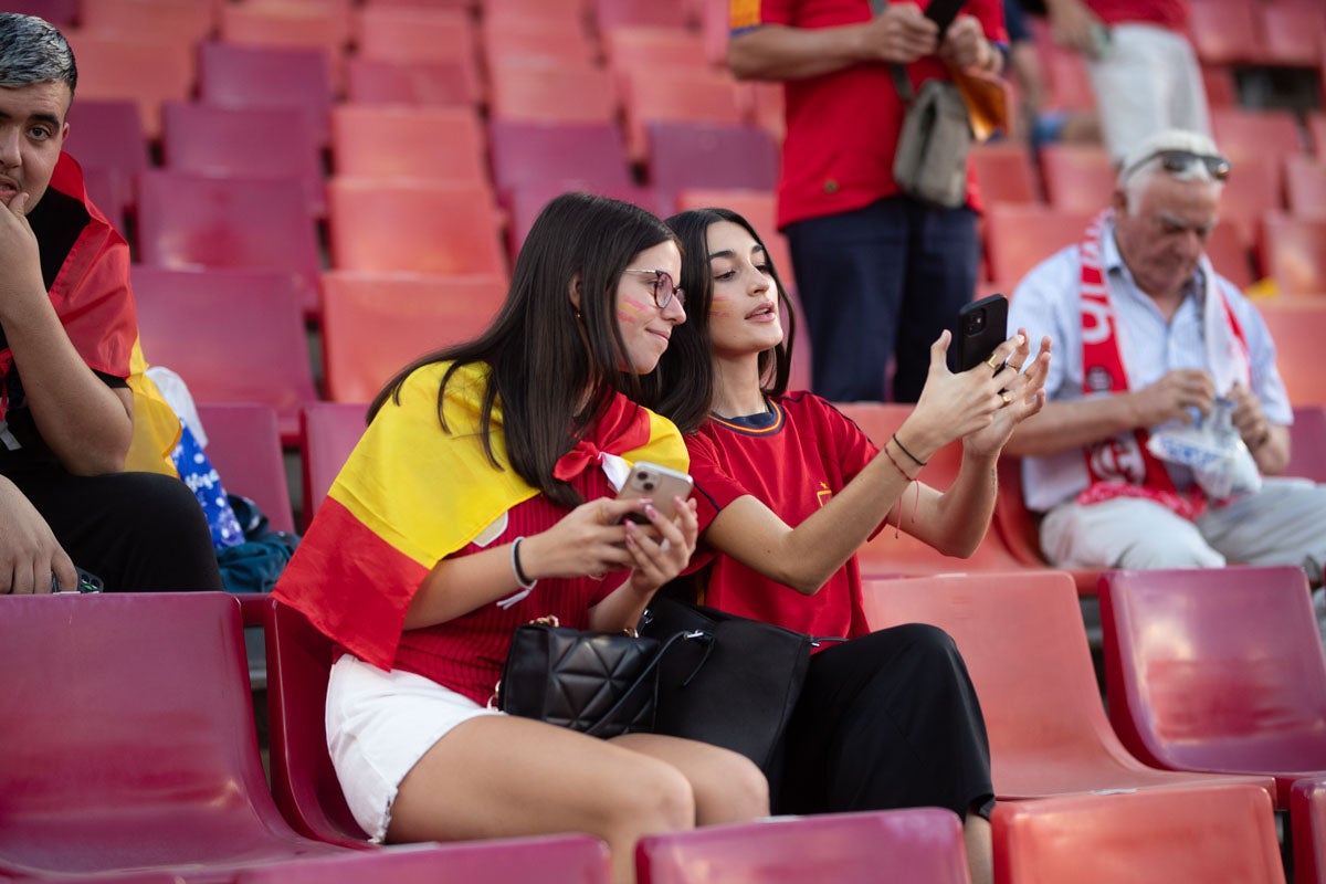 Búscate en la grada de Los Cármenes en el partido de &#039;la Roja&#039;