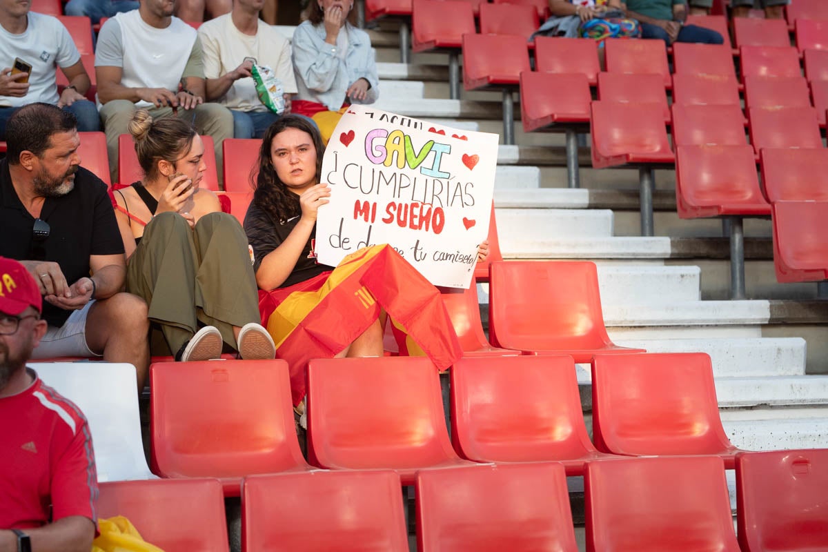 Búscate en la grada de Los Cármenes en el partido de &#039;la Roja&#039;