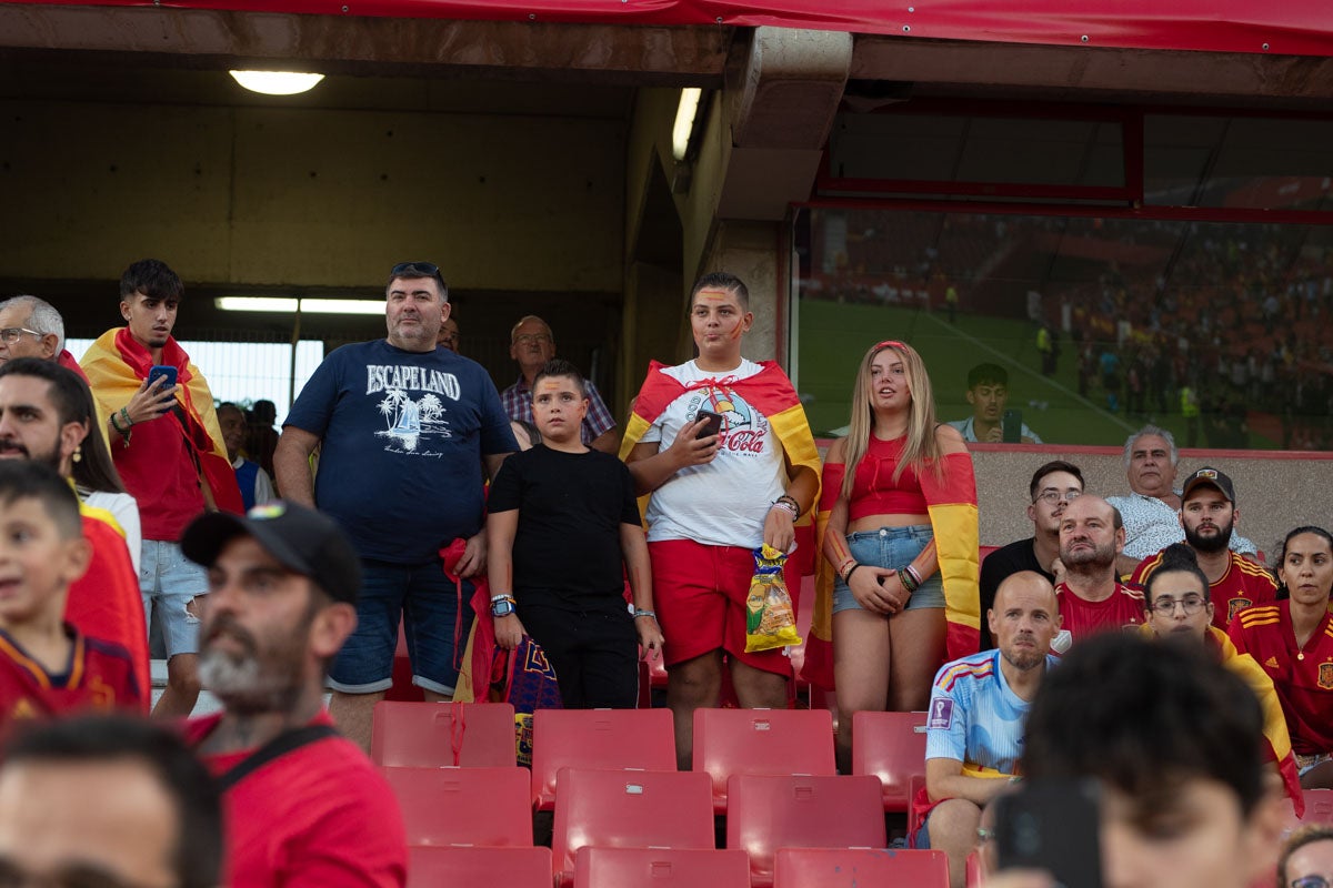 Búscate en la grada de Los Cármenes en el partido de &#039;la Roja&#039;