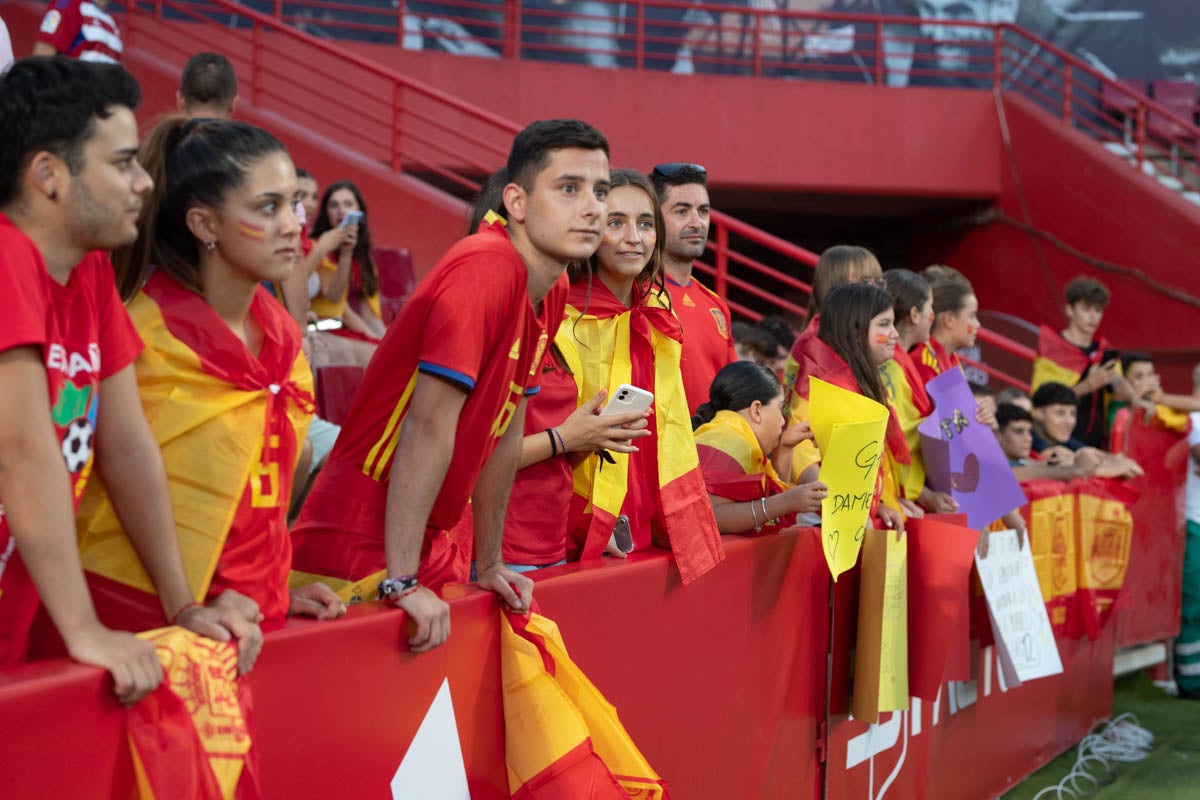 Búscate en la grada de Los Cármenes en el partido de &#039;la Roja&#039;