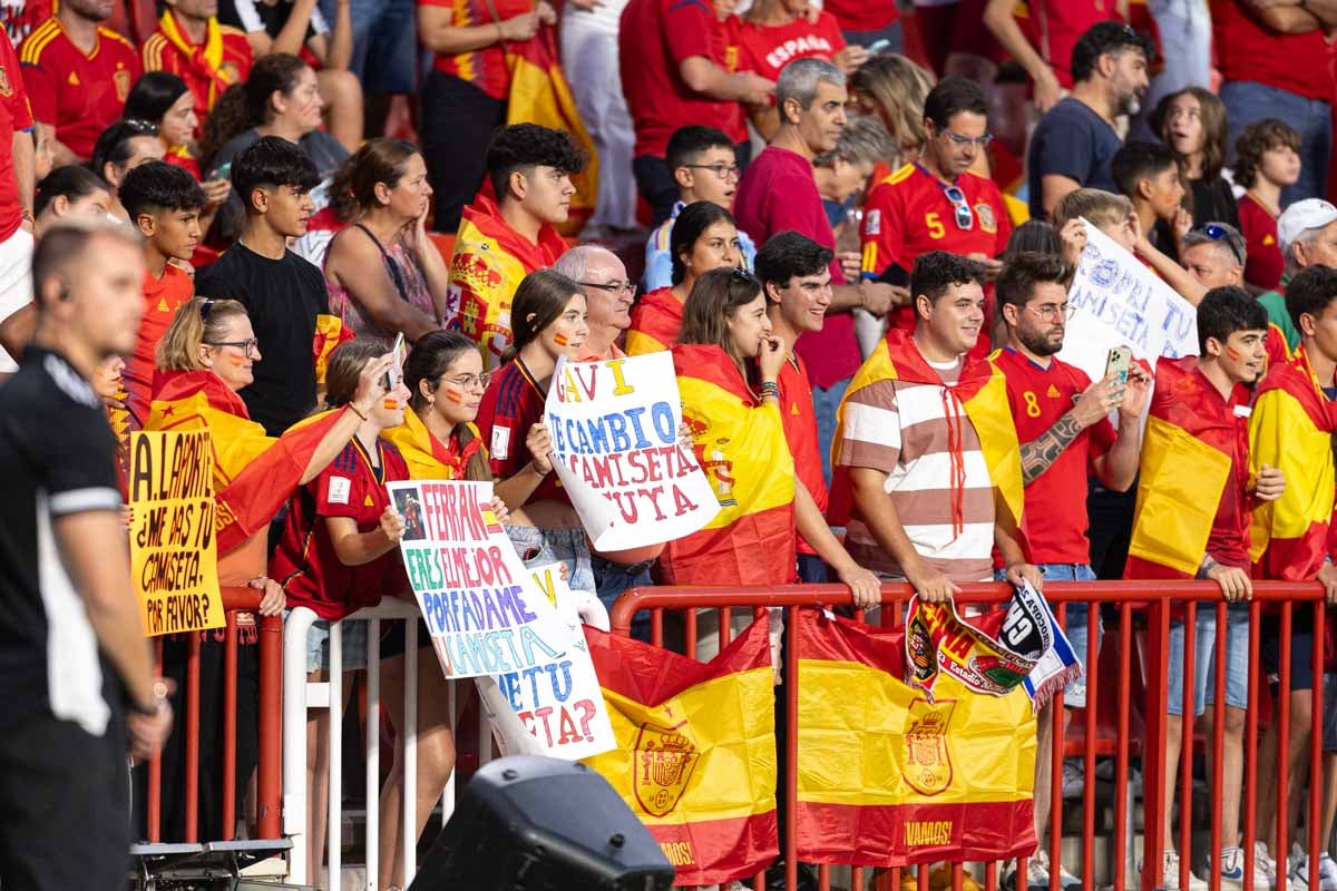 Búscate en la grada de Los Cármenes en el partido de &#039;la Roja&#039;