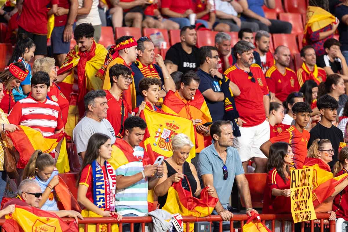 Búscate en la grada de Los Cármenes en el partido de &#039;la Roja&#039;