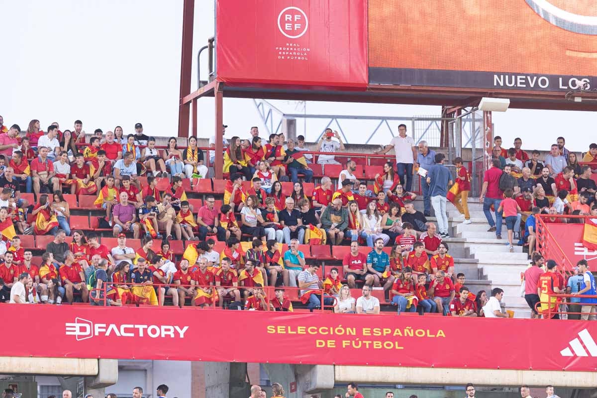 Búscate en la grada de Los Cármenes en el partido de &#039;la Roja&#039;