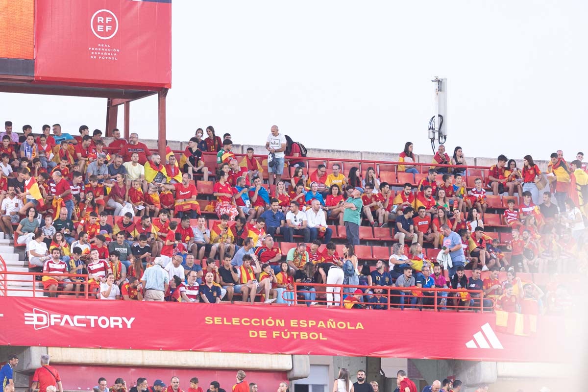 Búscate en la grada de Los Cármenes en el partido de &#039;la Roja&#039;