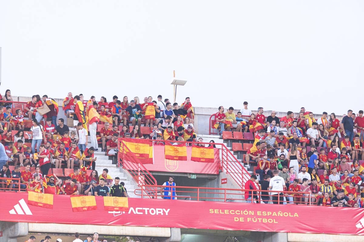 Búscate en la grada de Los Cármenes en el partido de &#039;la Roja&#039;