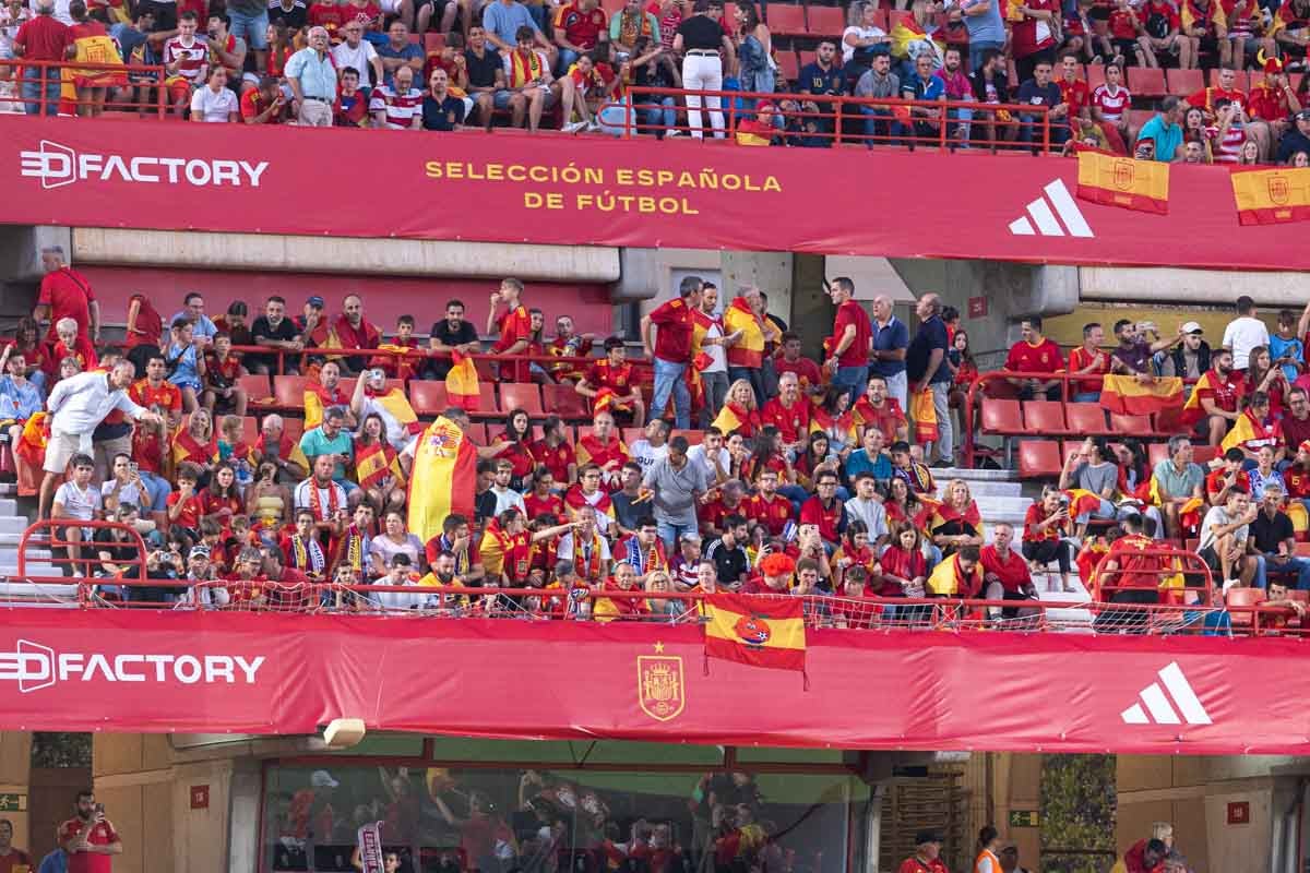 Búscate en la grada de Los Cármenes en el partido de &#039;la Roja&#039;