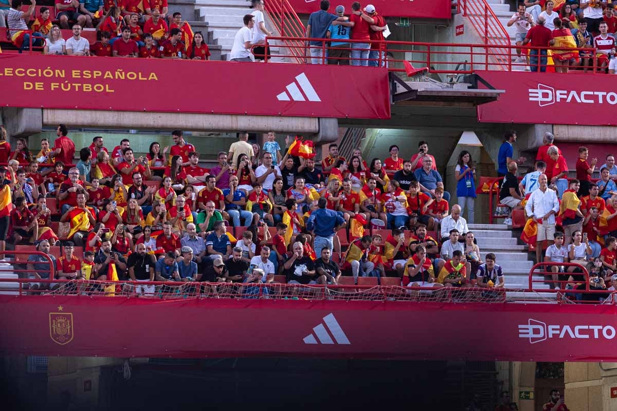 Búscate en la grada de Los Cármenes en el partido de &#039;la Roja&#039;