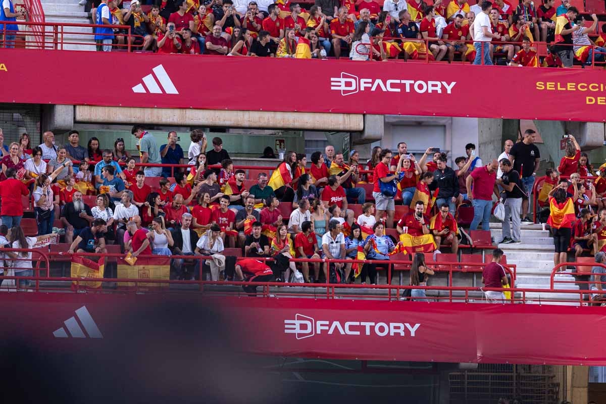 Búscate en la grada de Los Cármenes en el partido de &#039;la Roja&#039;