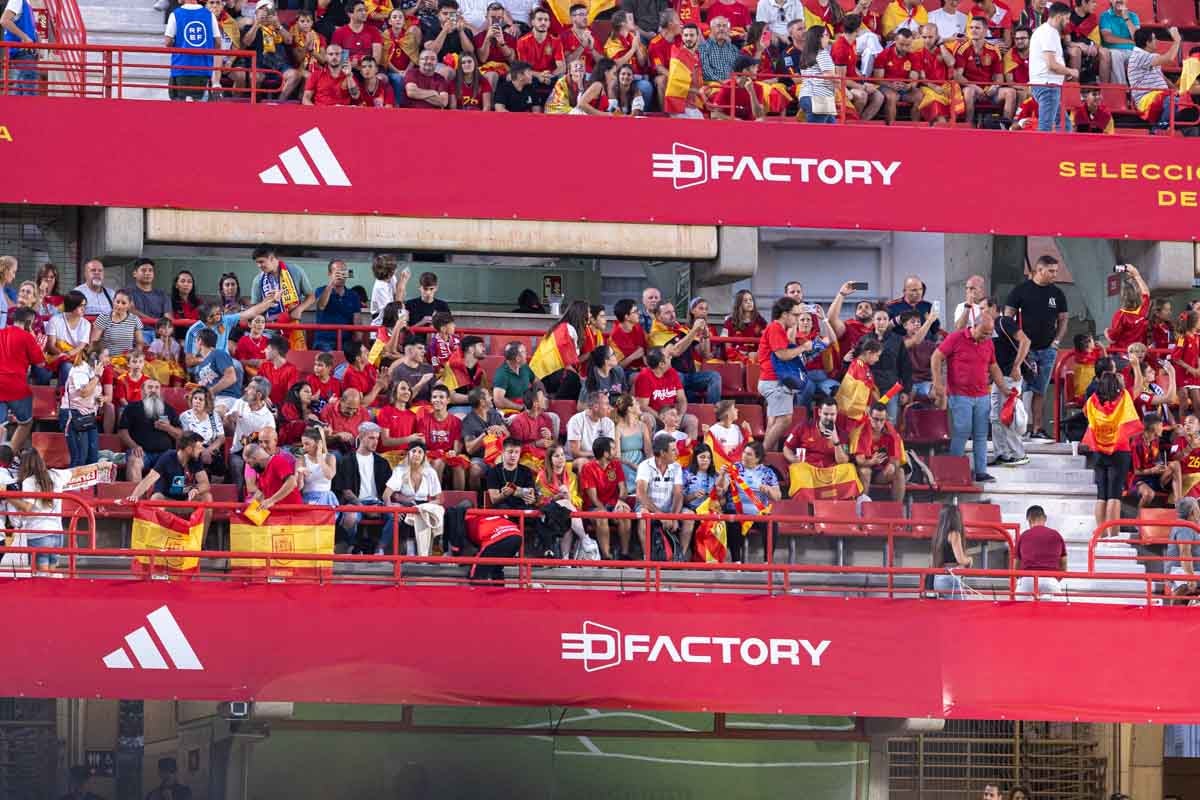 Búscate en la grada de Los Cármenes en el partido de &#039;la Roja&#039;