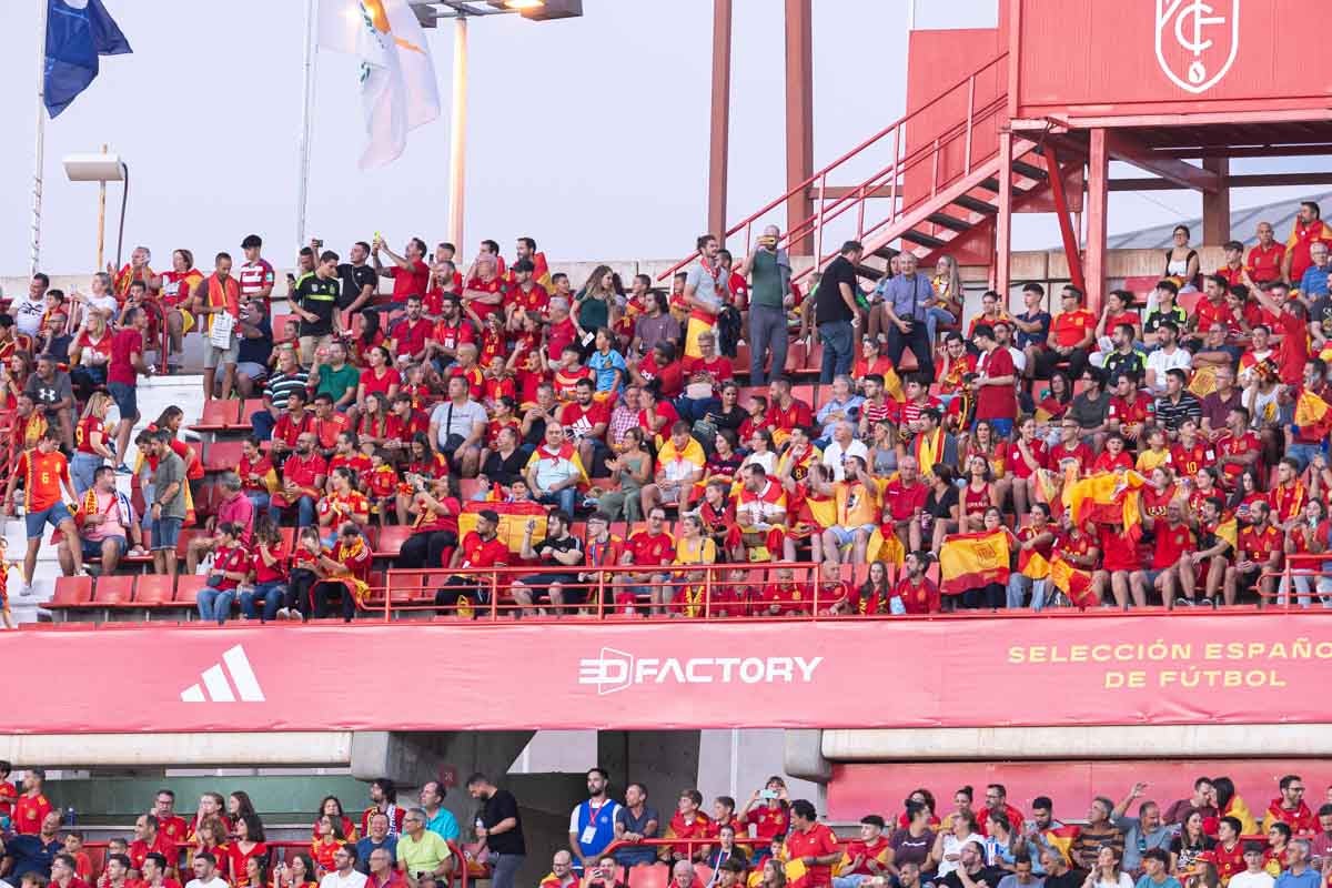 Búscate en la grada de Los Cármenes en el partido de &#039;la Roja&#039;