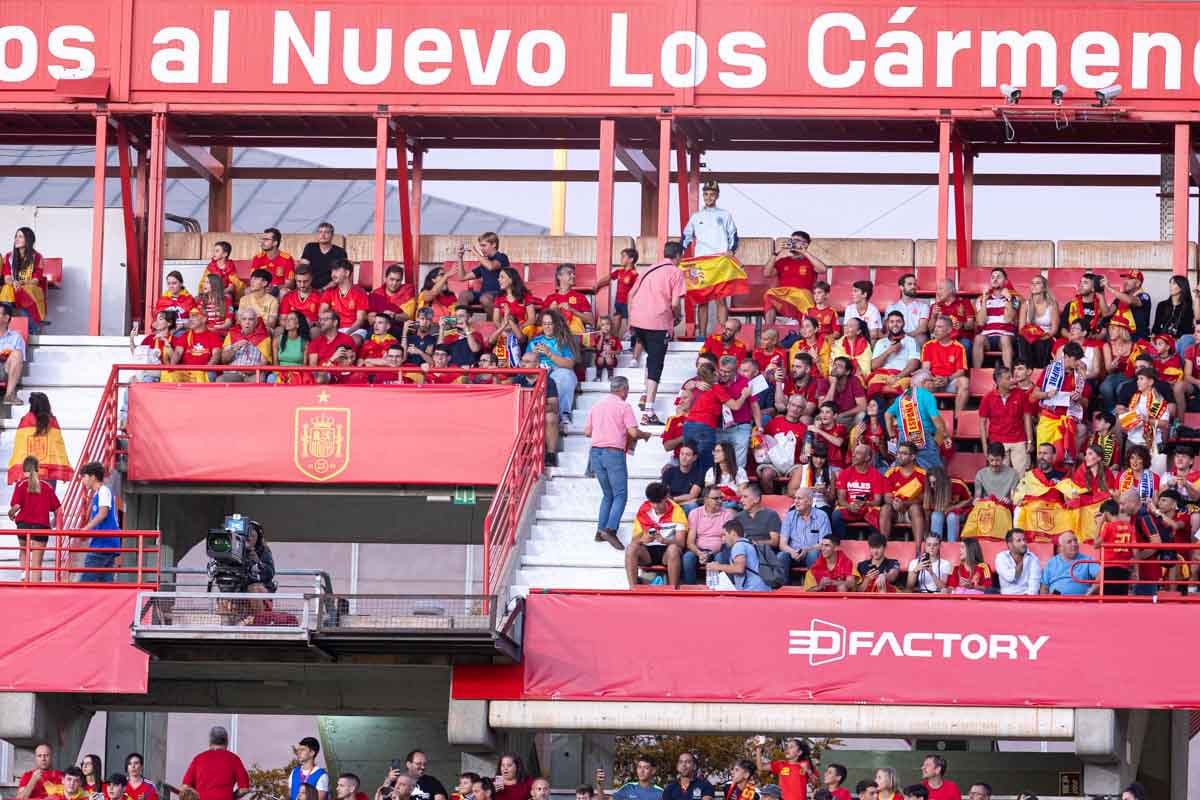 Búscate en la grada de Los Cármenes en el partido de &#039;la Roja&#039;