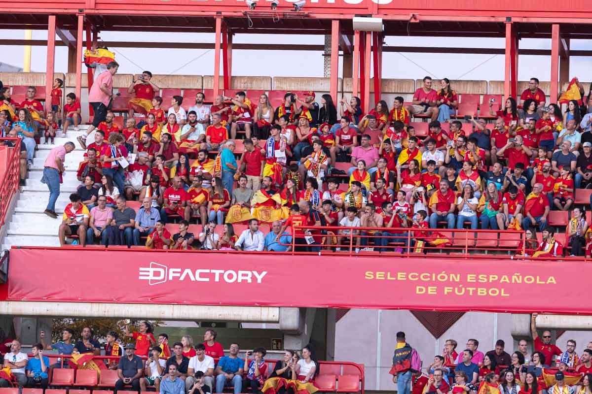 Búscate en la grada de Los Cármenes en el partido de &#039;la Roja&#039;