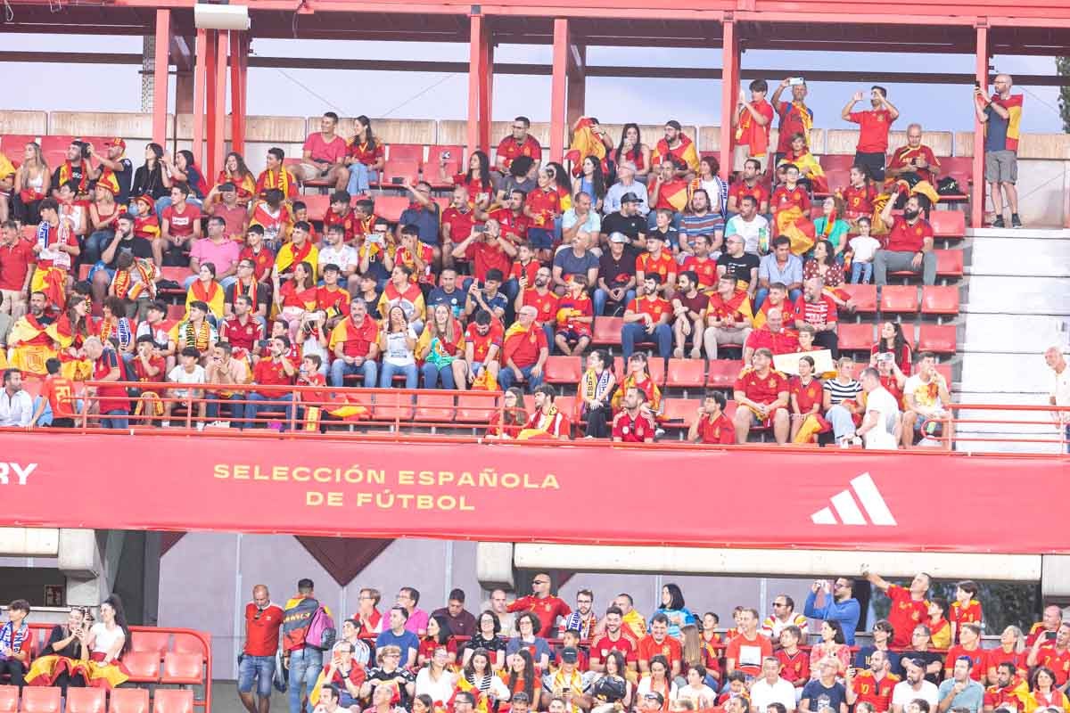 Búscate en la grada de Los Cármenes en el partido de &#039;la Roja&#039;