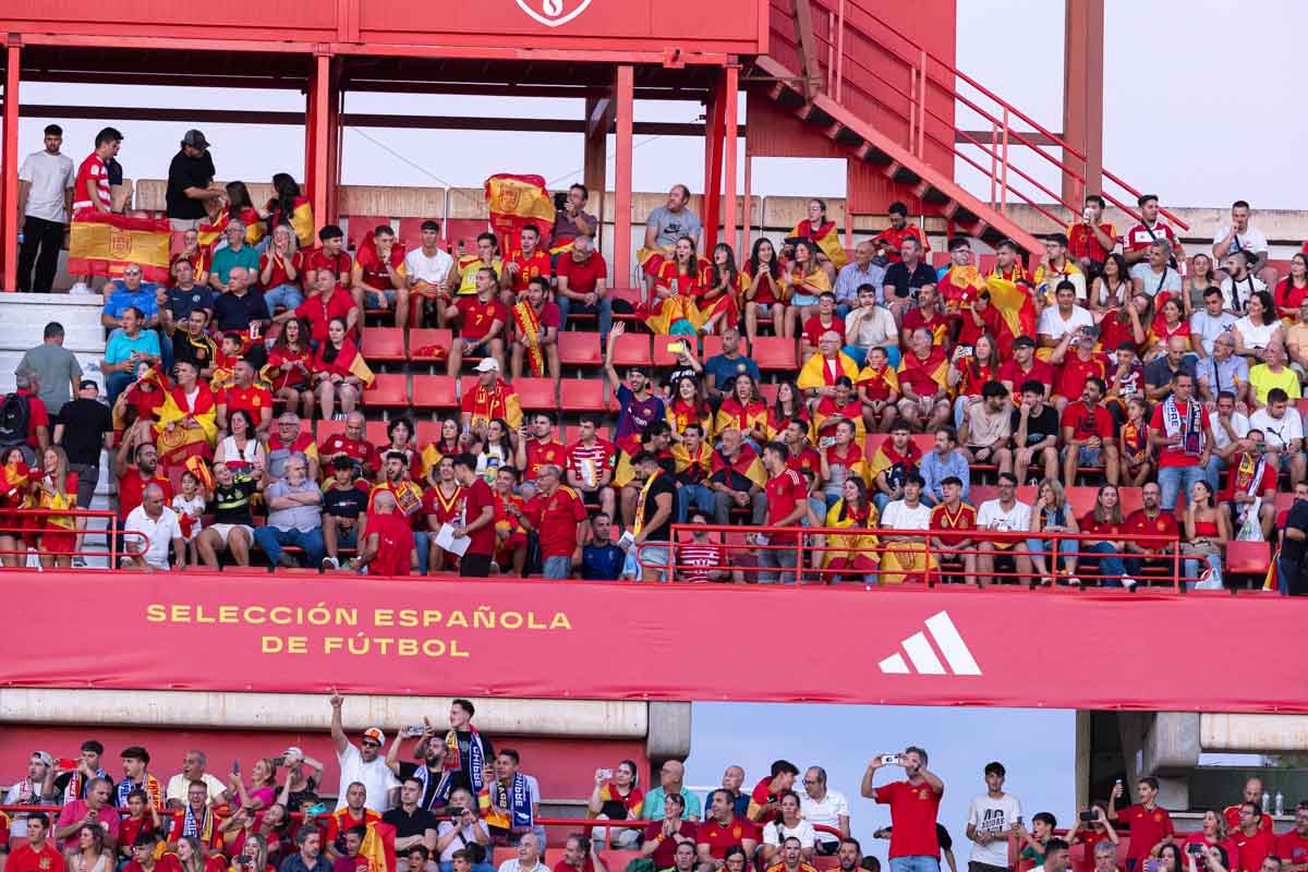 Búscate en la grada de Los Cármenes en el partido de &#039;la Roja&#039;