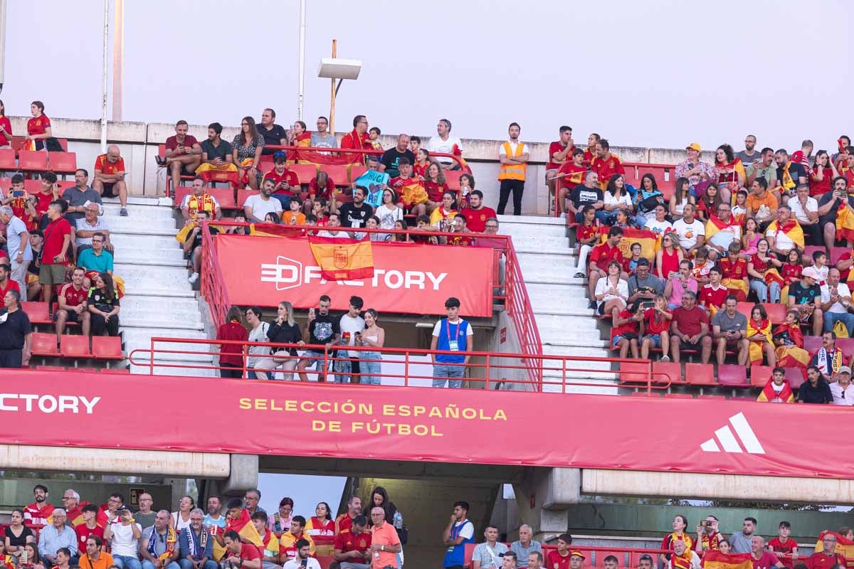 Búscate en la grada de Los Cármenes en el partido de &#039;la Roja&#039;