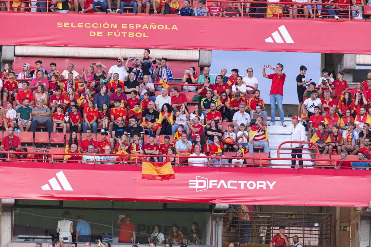 Búscate en la grada de Los Cármenes en el partido de &#039;la Roja&#039;