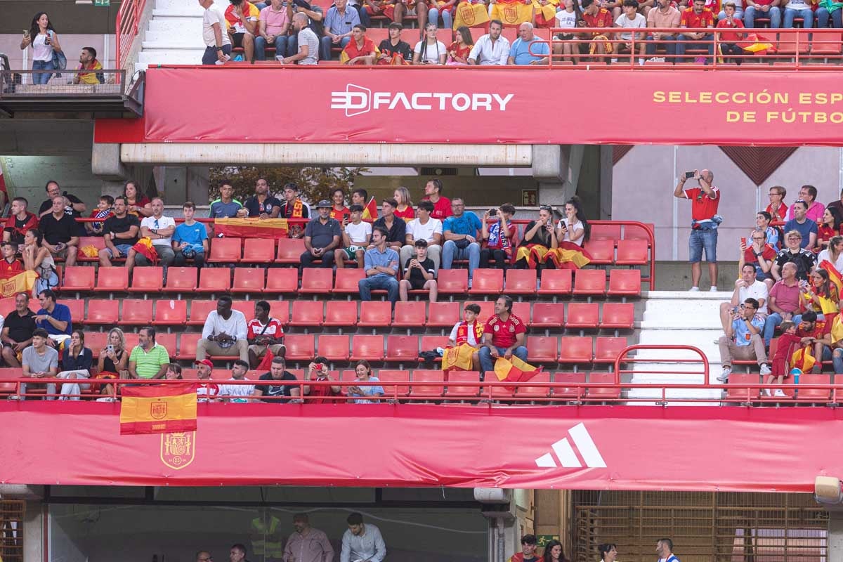 Búscate en la grada de Los Cármenes en el partido de &#039;la Roja&#039;