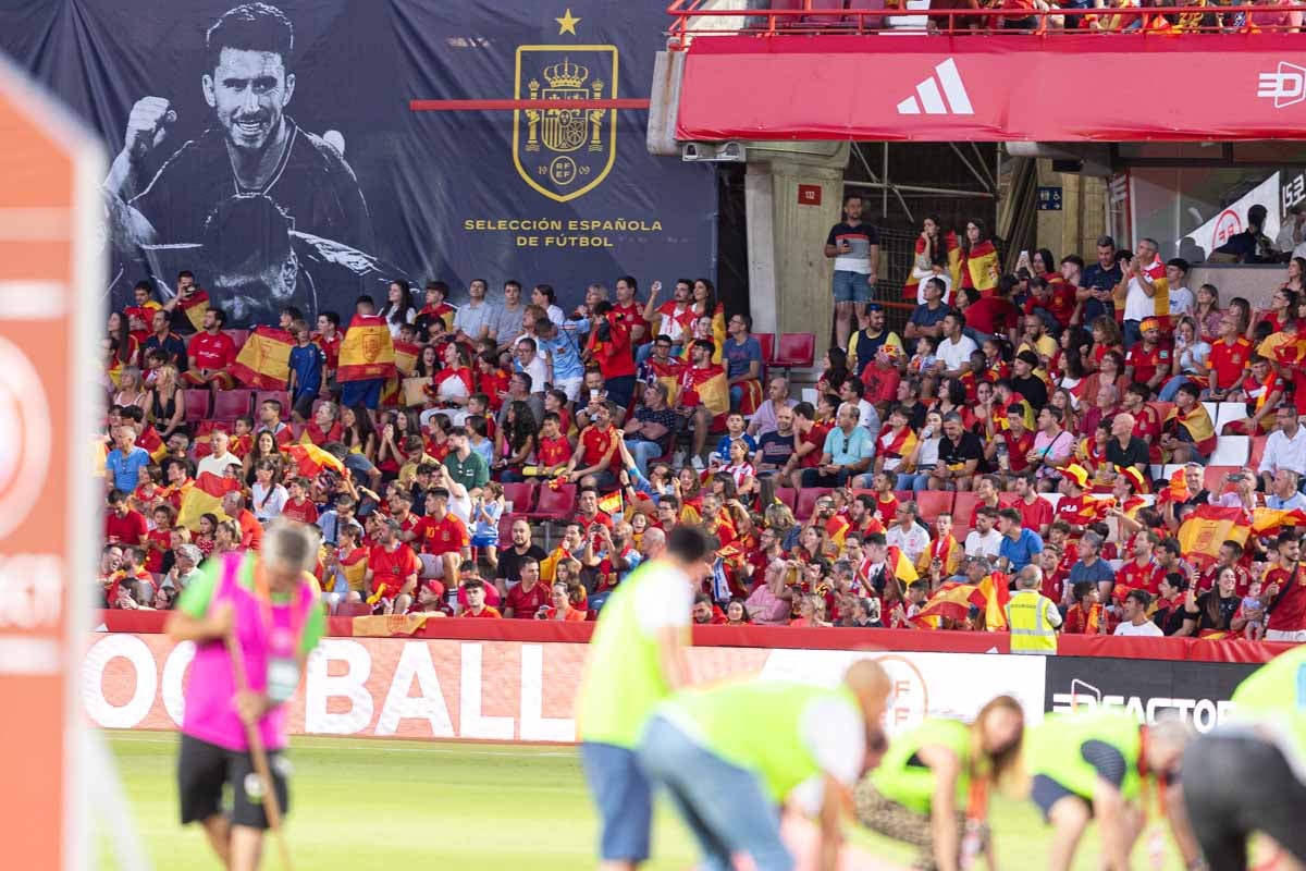 Búscate en la grada de Los Cármenes en el partido de &#039;la Roja&#039;