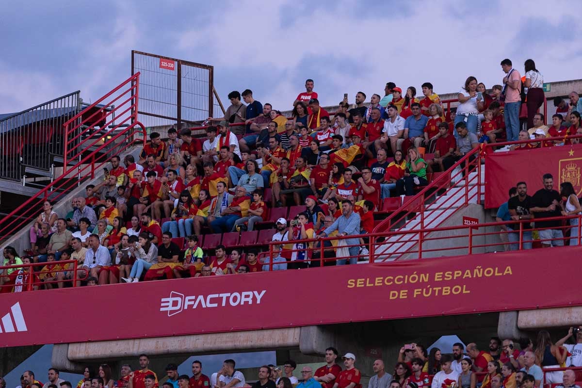 Búscate en la grada de Los Cármenes en el partido de &#039;la Roja&#039;