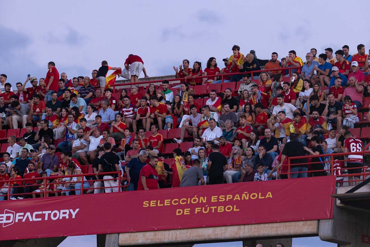 Búscate en la grada de Los Cármenes en el partido de &#039;la Roja&#039;