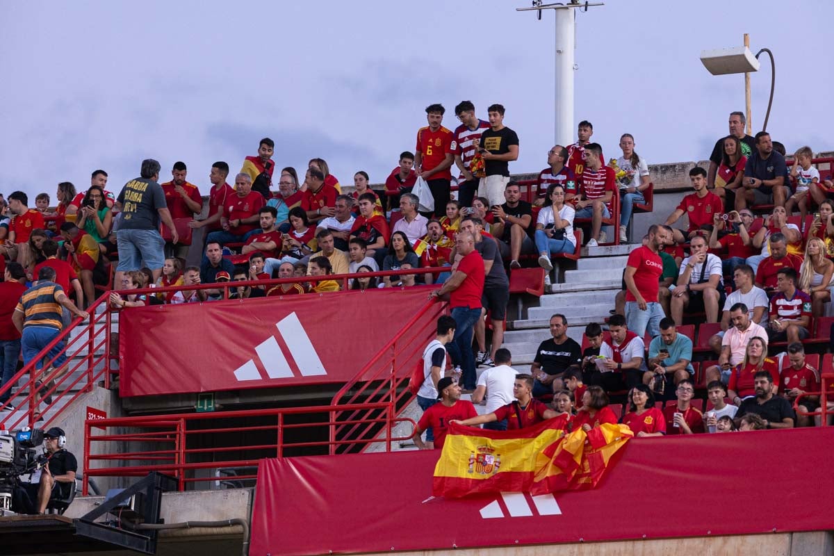 Búscate en la grada de Los Cármenes en el partido de &#039;la Roja&#039;