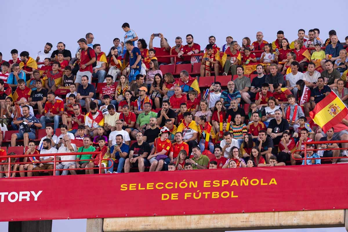 Búscate en la grada de Los Cármenes en el partido de &#039;la Roja&#039;