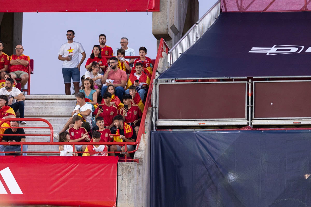 Búscate en la grada de Los Cármenes en el partido de &#039;la Roja&#039;