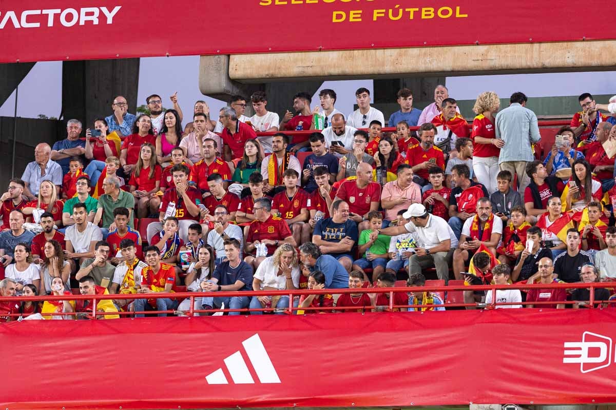 Búscate en la grada de Los Cármenes en el partido de &#039;la Roja&#039;