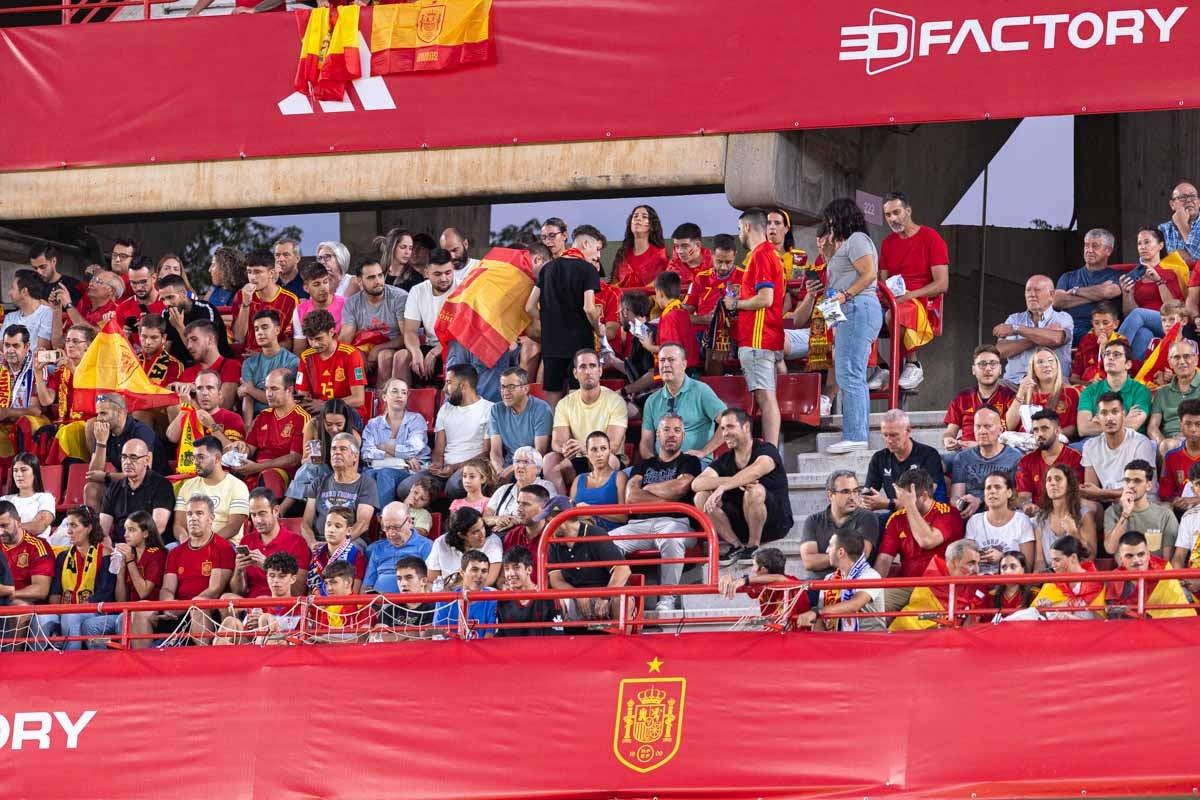 Búscate en la grada de Los Cármenes en el partido de &#039;la Roja&#039;