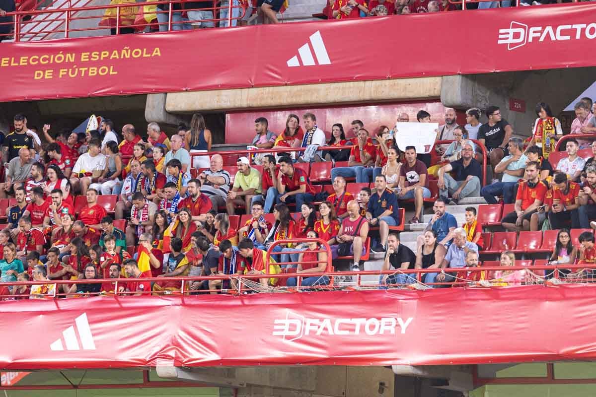 Búscate en la grada de Los Cármenes en el partido de &#039;la Roja&#039;