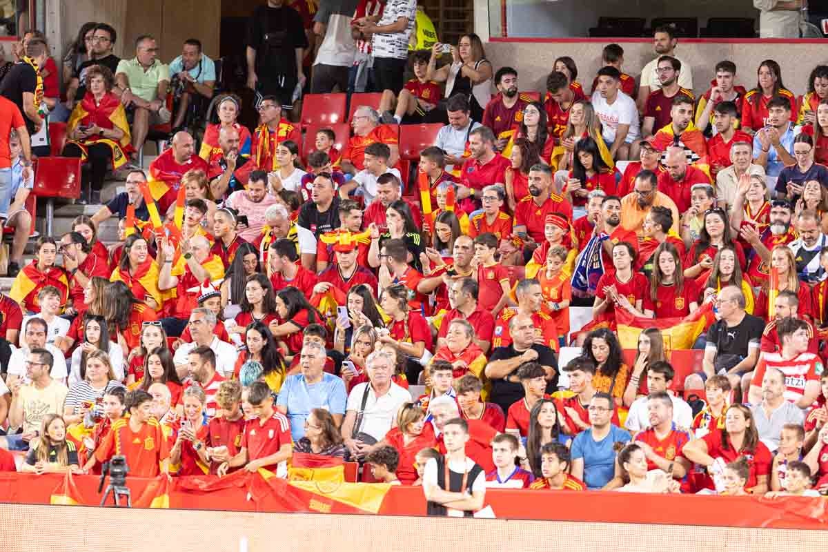 Búscate en la grada de Los Cármenes en el partido de &#039;la Roja&#039;