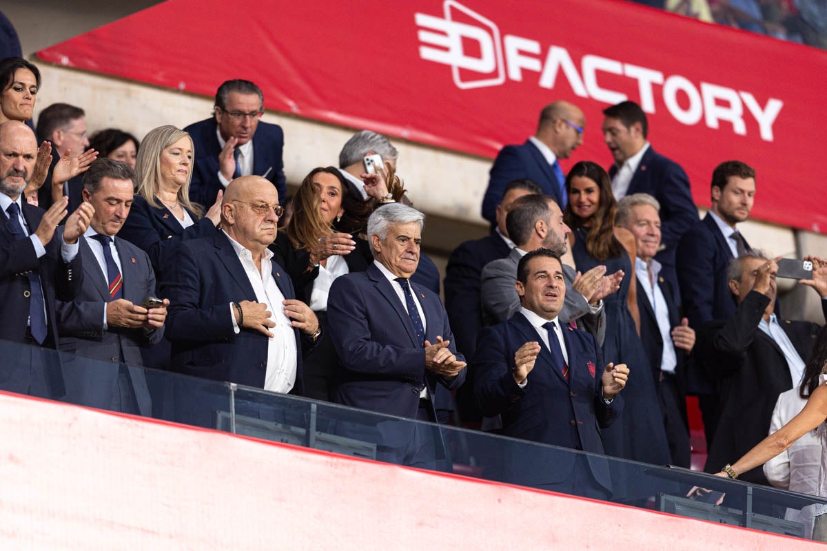 Búscate en la grada de Los Cármenes en el partido de &#039;la Roja&#039;